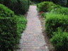 Multi-color Paver Walkway with Small Border